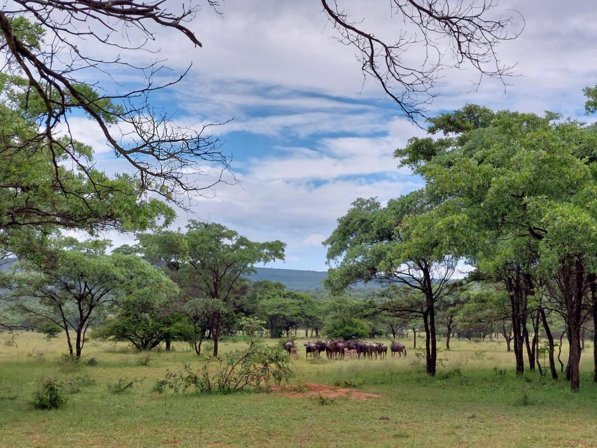 Villa Izintaba Private Game Reserve Waterberg Vaalwater Exterior foto