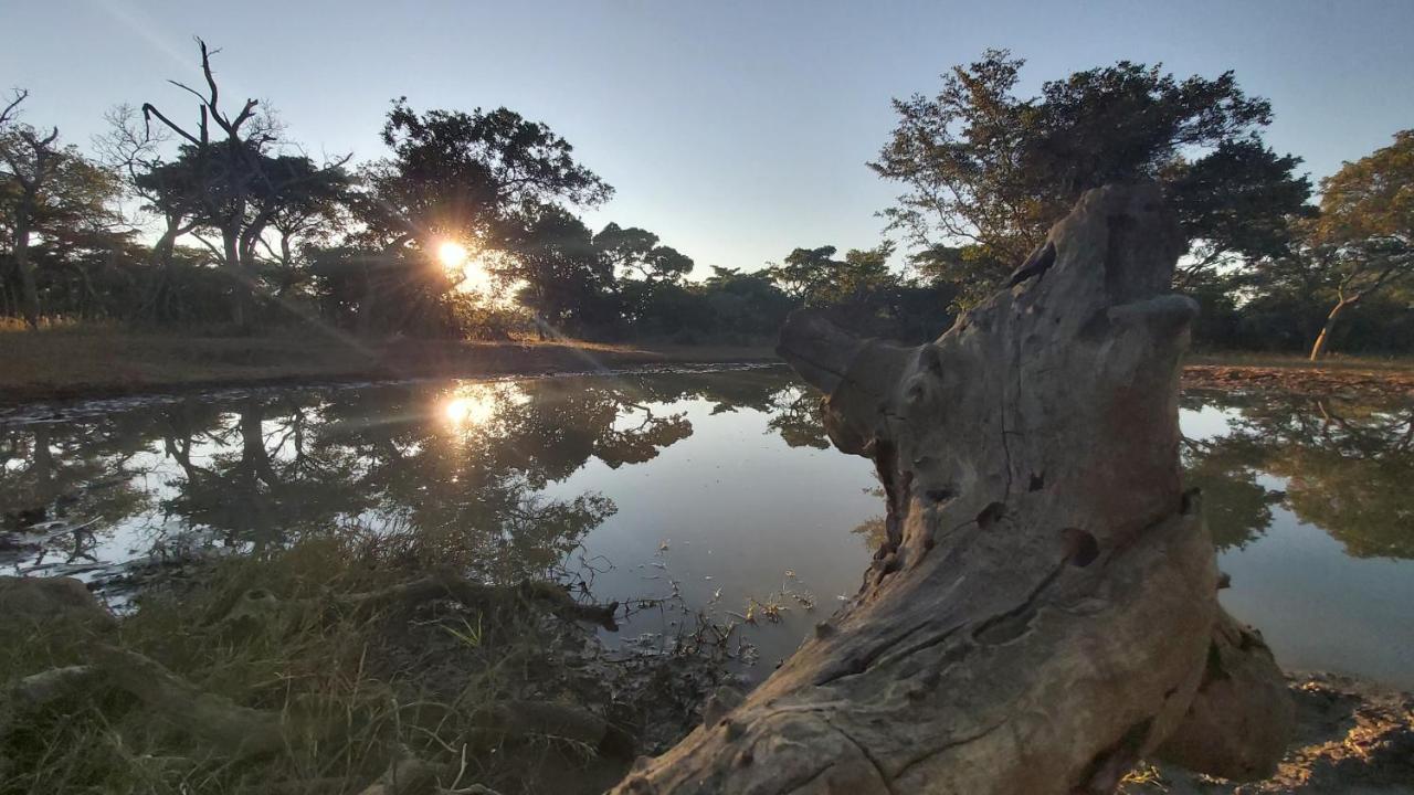 Villa Izintaba Private Game Reserve Waterberg Vaalwater Exterior foto